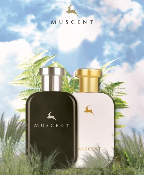 Muscent’in Yaz Mevsimine Uygun En İyi Parfüm Seçenekleri